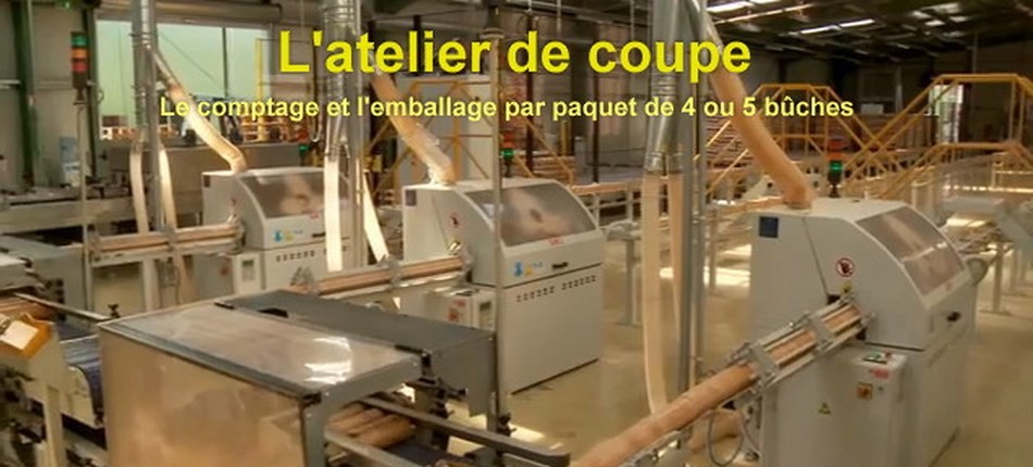 Granulés de bois : une entreprise alsacienne transforme les Kachelofen en  poêles à pellets modernes - NeozOne